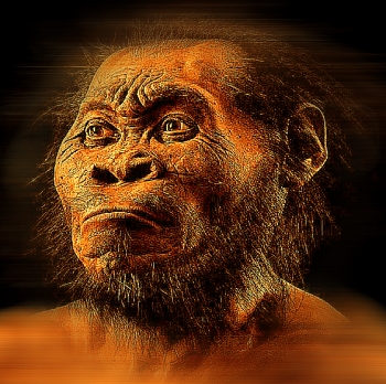 Un nou studiu controversat spune că limbajul uman ar fi existat în urmă cu circa 25 de milioane de ani