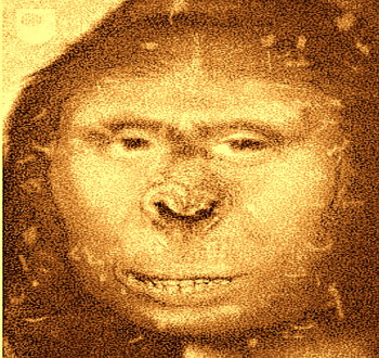 Extraordinara femeie-maimuţă Zana, găsită în Munţii din Caucaz: "ADN-ul ei e unic în lume". De unde a apărut această creatură?
