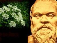 Din secretele otrăvirii celebrului filozof Socrate: a fost vorba de cucută, dar şi de opium?