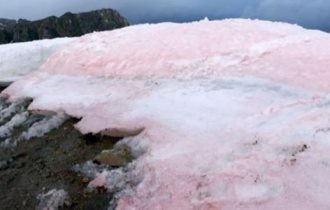 Zăpadă roz în Munţii Alpi din Italia... ce se află în spatele acestui fenomen?