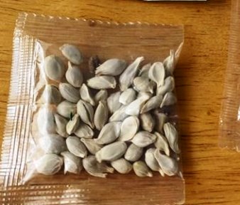 Mai mulţi oameni din întreaga lume au primit pachete misterioase cu seminţe din China. Ce se întâmplă?