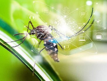 Un studiu ştiinţific german din septembrie 2020 dovedeşte că radiaţiile telefoanelor mobile ar putea ucide insectele