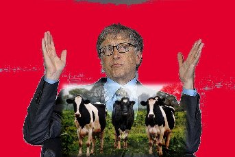 Miliardarul Bill Gates mai are o idee "genială": vrea ca să renunţăm la carnea de vită şi să consumăm doar "carne sintetică"!