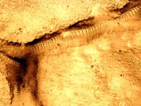 "Tuburile" misterioase de pe planeta Marte: creaţii sofisticate ale extratereştrilor din antichitate sau anomalii geologice?