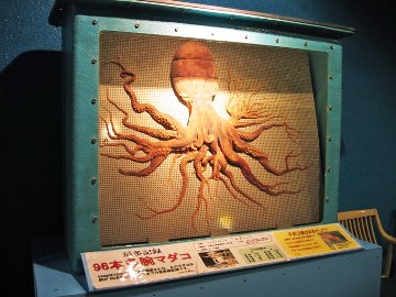 Caracatiţă cu 96 de tentacule într-o fotografie controversată! Mulţi se întreabă dacă ea chiar a existat...