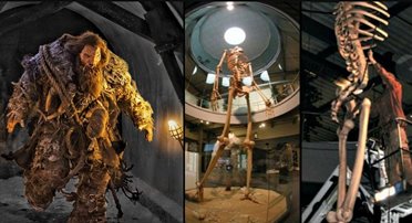 Scheletul unui gigant de 7 metri se află expus într-un muzeu din Ecuador?