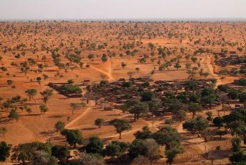 Inteligenţa Artificială a descoperit miliarde de copaci şi arbuşti în Sahara, acolo unde oamenii credeau că nu creşte nimic