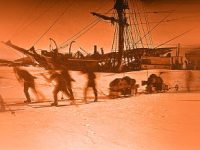 Indigenii māori din Noua Zeelandă au vizitat Antarctica cu peste 1.000 de ani înainte de "descoperirea oficială" din 1820 - spune un nou studiu ştiinţific