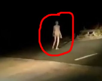 O creatură umanoidă albă şi foarte slabă, venită parcă din altă lume, a fost surprinsă noaptea în India
