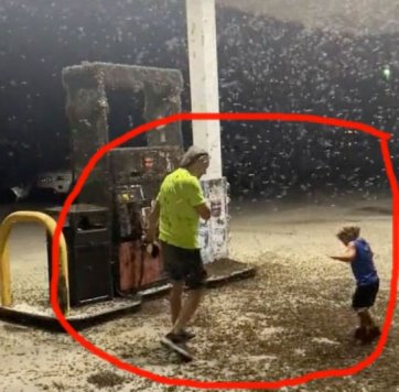 A venit "apocalipsa biblică" în SUA? Milioane de insecte au invadat o benzinărie din statul Michigan