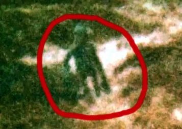 Creatura de la Ilkley Moore: un fost ofiţer de poliţie din Anglia a fotografiat ceea ce pare a fi un... extraterestru verde! Este totul autentic?