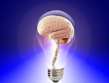 Experimente care arată că memoria umană nu poate fi localizată nicăieri în creier, nici măcar în trup! Unde e localizată memoria plantelor?