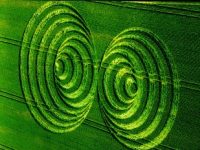 Misterioasele cercuri din lanurile cu cereale au fost create de o imensă entitate a Pământului?
