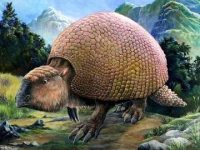 Un fermier din Argentina a dat peste mai multe armadilo uriaşe, creaturi dispărute de pe Terra de peste 10.000 de ani