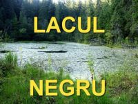 Un loc misterios în România unde peştii nu cresc, dar găsim plante tămăduitoare - Lacul Negru din Munţii Vrancei