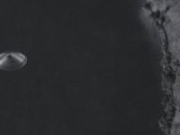 Iată imaginea clară a unui OZN, fotografiat dintr-un avion! Este el de origine extraterestră sau pământeană?