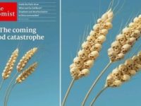 Copertă groaznică a revistei "The Economist" (deţinută de familia Rothschild): spice de grâu, în care se văd cranii de oameni!