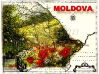Iată cum vedea Moldova anului 1739 un călător străin: „Un loc mai frumos n-am văzut niciodată! Câmpiile erau acoperite cu flori pretutindeni – călcam numai pe garoafe și lalele”