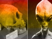 Craniile antice alungite găsite în diverse părţi ale lumii: dovada existenţei extratereştrilor?