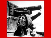 Povestea din spatele fotografiei teribile „Craniul de pe tanc”, din cel de-al doilea război mondial