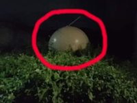 Un glob misterios, cu o antenă pe ea, a căzut din cer în Mexic! Autorităţile l-au luat şi l-au dus într-o locaţie necunoscută...