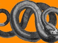 De ce apare atât de des simbolul şarpelui în misterioasele Tăbliţe de la Sinaia?