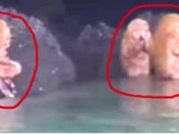 Nişte turişti din Thailanda au surprins nişte creaturi umanoide ciudate lângă câteva peşteri subacvatice...