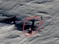 Ce putem vedea în Antarctica? O culme pe care se află o creatură misterioasă cu aripi!?