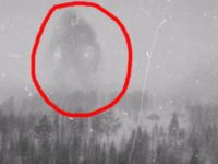 Misterul din spatele fotografiei din 1942, în care un pilot britanic ar fi zărit un posibil GIGANT în Norvegia. Reală sau nu?