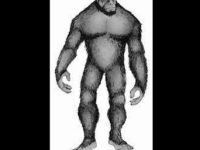 Un cercetător al creaturilor Bigfoot crede că acestea ar putea constitui o ameninţare la adresa oamenilor