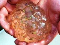 Misterul bobiţelor gelatinoase de la Oakville (SUA): din cer, a plouat cu "mâzgă vie", ulterior locuitorii îmbolnăvindu-se
