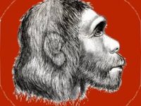O mare enigmă: unde au dispărut neanderthalienii?