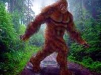 Ăsta-i marele mister al lui Bigfoot? Un cercetător crede că l-a dezvăluit