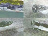 Imagini spectaculoase cu 3 OZN-uri mascate lângă fluviul Florida au fost observate pe Google Earth