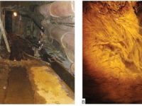 Forme de viaţă bizare au fost găsite într-o mină abandonată de uraniu din Germania