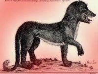 „Bestia din Gevaudan”: o creatură înfiorătoare care a provocat panică în Franţa anilor 1760