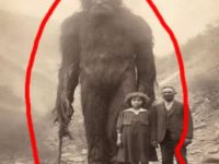 Ce e cu fotografia aceasta de pe Facebook, în care doi oameni se fotografiază cu ceea ce pare a fi o creatură de tip BigFoot, de peste 3 metri înălţime!? Cât de falsă sau reală e?