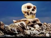 Cele 3 schelete umane misterioase, de 9 metri înălţime, descoperite la Palermo