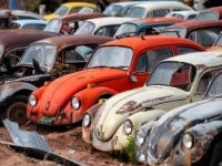 "Buburuza" de la Volkswagen: secretul din spatele unui succes