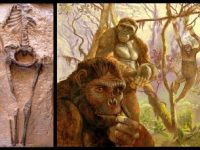 "Femeia din Guadelupa" - misterul unui schelet uman vechi de cel puţin 25 de milioane de ani, când oamenii n-ar fi trebuit să existe