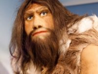 Unde au dispărut oamenii din Neanderthal acum 25.000 de ani?