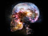 Cercetătorii au descoperit o posibilă legătură între creierul uman și Cosmos la scară cuantică, cu ajutorul fractalilor