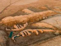 Acum 4.000 de ani, sumerienii au inventat o tehnologie inovatoare împotriva secetei, pentru a evita "Armaghedonul agricol"