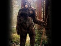 "Nu există Bigfoot! Au fost confundaţi cu urşii!" - spune un studiu ştiinţific din ianuarie 2024