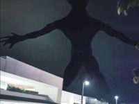 Zvonuri despre aşa-zise "creaturi extraterestre" gigantice văzute la începutul lui 2024 într-un mall din Miami. Se joacă cineva cu holograme avansate!?