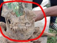 Fotografie uluitoare! Un fragment de craniu gigant a fost descoperit în India...