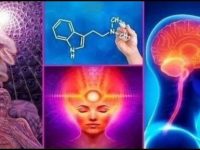 Un doctor a făcut un experiment ştiinţific, în care a purtat un magnet lângă glanda pineală. Astfel, fiinţele astrale devin vizibile pentru noi?