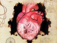 500 de ani mai târziu, oamenii de știință rezolvă misterul inimii umane, desenată de Leonardo da Vinci