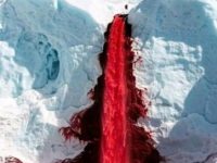 Ce se ascunde sub "Cascada sângeroasă" din Antarctica? "Rămăşiţele giganţilor care şi-au găsit sfârşitul acolo" - crede un cercetător