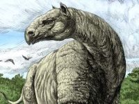 In Iov 40, Biblia ne spune clar: dinozaurii au trăit în acelaşi timp cu oamenii, cu mii de ani în urmă